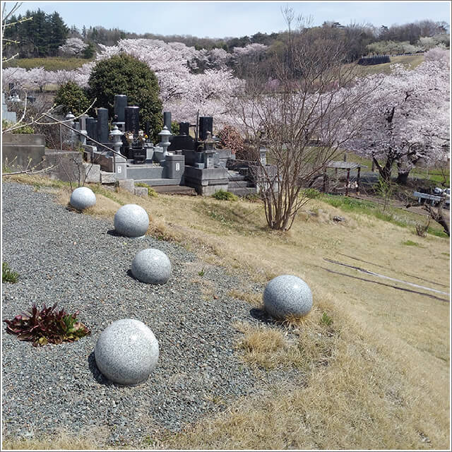 長岡市 安い ペット 葬儀 寺